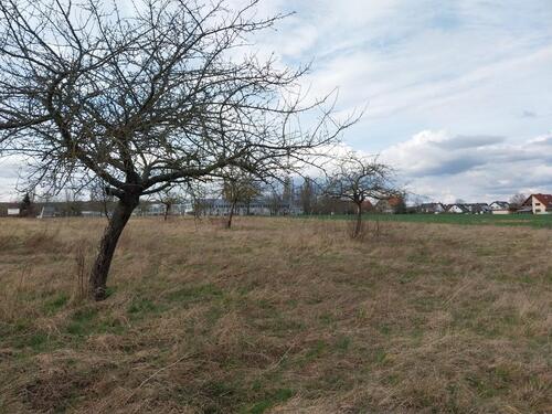 Foto - neues Gewerbegebiet in 55559 Bretzenheim