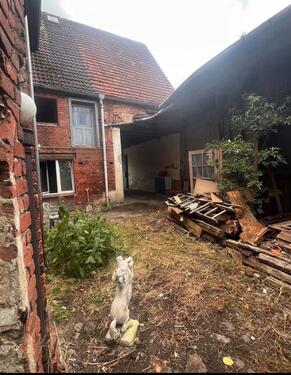 Foto - Einfamilienhaus in Sonnewalde zum Kaufen