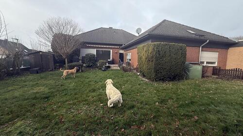 Foto - 6 Zimmer Einfamilienhaus in Kerpen