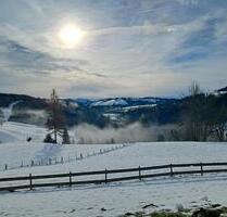 Wunderschöne 3 - Zimmer - 1.000,00&nbsp;EUR Kaltmiete, ca.&nbsp; 100,00&nbsp;m&sup2; in Stiefenhofen (PLZ: 88167)