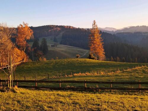 Foto - 3 Zimmer Etagenwohnung zur Miete in Stiefenhofen