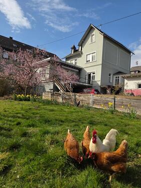 Foto - Einfamilienhaus in Nentershausen