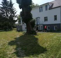 Gemütliche 2-Raumwohnung in 15378 Herzfelde zu vermieten - Rüdersdorf bei Berlin Hennickendorf