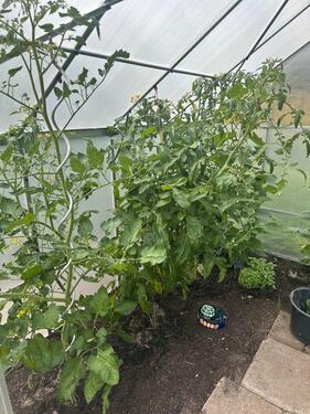 Foto - 4 Zimmer Einfamilienhaus in Lüdersdorf