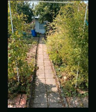 Foto - Pachtgarten - 555,00&nbsp;EUR Kaltmiete, ca.&nbsp; 0,00&nbsp;m&sup2;