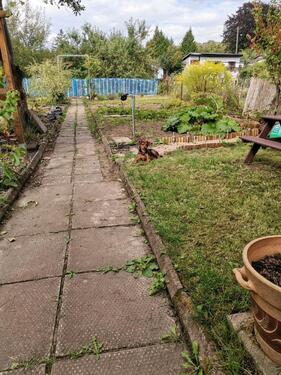 Foto - Grundst&uuml;ck in Eisenach