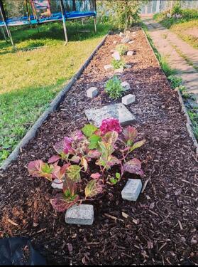 Foto - Grundst&uuml;ck in Eisenach zur Miete