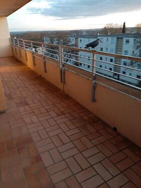 Foto - 2 Zimmer Etagenwohnung zur Miete in Niederwerrn