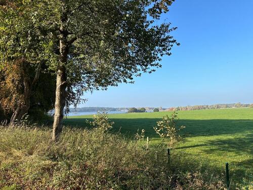 Foto - 3 Zimmer Reihenhaus zum Kaufen in Stralsund