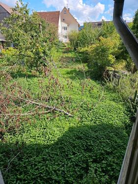 Foto - Reihenhaus in Spaichingen