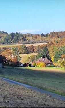 Foto - Einfamilienhaus zum Kaufen in Waldsolms