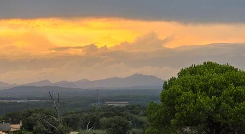 Foto - andere in Rheinstetten