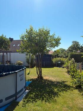 Foto - 5 Zimmer Einfamilienhaus zum Kaufen in Mittelbiberach