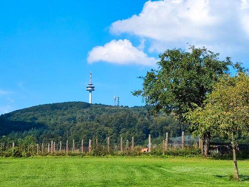 Foto - Traumhaftes Wohnen mit Weitblick in Höxter- Bödexen