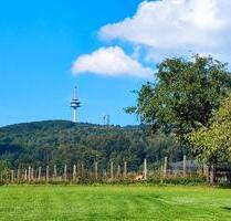 Traumhaftes Wohnen mit Weitblick in Höxter- Bödexen