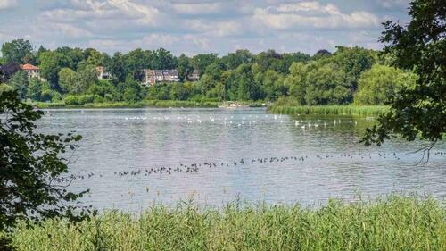 Foto - Frisch renoviertes Familienidyll im Berlin Kladow