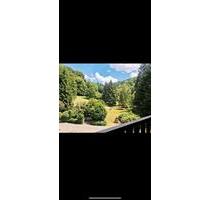 Wohnung zu vermieten - 570,00&nbsp;EUR Kaltmiete, ca.&nbsp; 33,00&nbsp;m&sup2; in Sasbachwalden (PLZ: 77887)