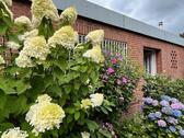 Foto - Bungalow, barrierefrei, Düsseldorf Nord, provisionsfrei
