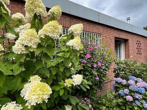 Foto - Bungalow, barrierefrei, Düsseldorf Nord, provisionsfrei
