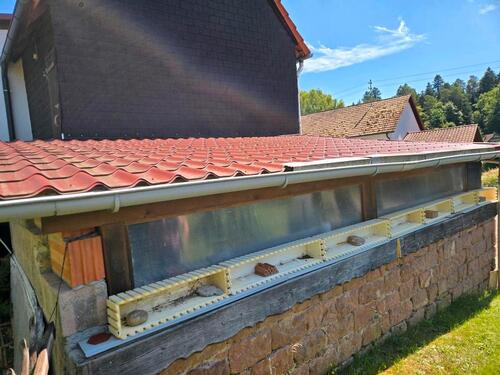 Foto - Einfamilienhaus in Lemberg