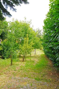 Foto - 6 Zimmer Einfamilienhaus zum Kaufen in Neuss