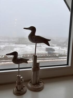 Foto - Sylt Ferienwohnung 30.5.-6.6.26- „Storchennest“ ❤️