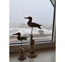 Sylt Ferienwohnung 30.5.-6.6.26- „Storchennest“ ❤️ - München Schwabing-Freimann