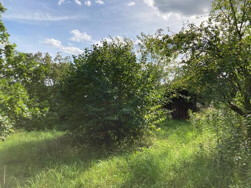 Foto - Grundst&uuml;ck in Neunkirchen am Brand zur Miete