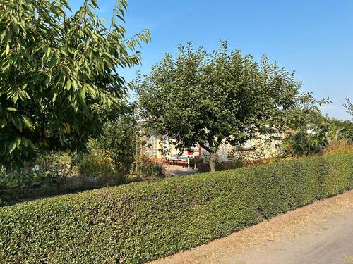 Foto - Grundst&uuml;ck in Magdeburg zur Miete