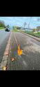 Foto - Stellplatz Parkplatz - 30,00&nbsp;EUR Miete,