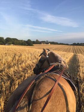 Foto - Ferienwohnung Paulchen - 85,00&nbsp;EUR Kaltmiete,