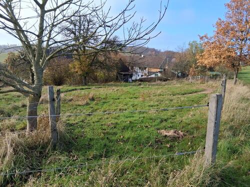 Foto - 2 Zimmer Etagenwohnung in Windeck