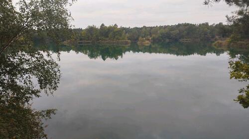 Foto - 3 Zimmer Bungalow zum Kaufen in Schönebeck (Elbe)
