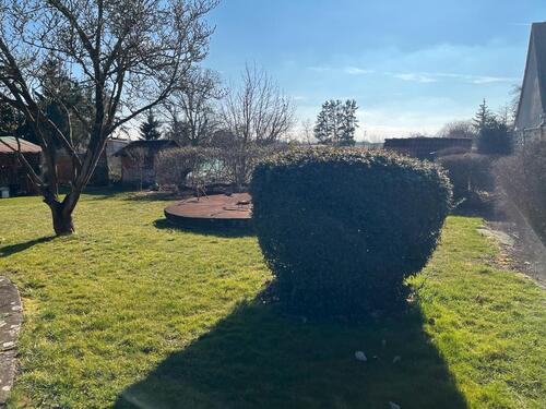 Foto - Einfamilienhaus zum Kaufen in Barby