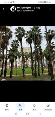 Foto - andere in Hamburg zur Miete