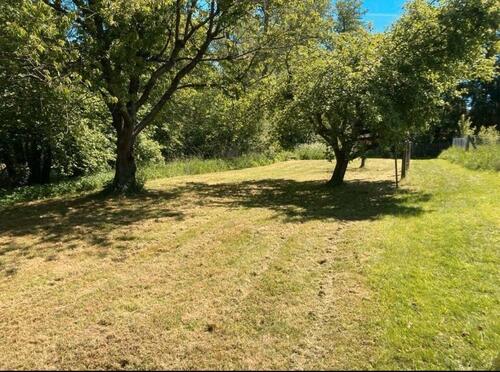 Foto - Schönes Freizeitgrundstück zu verpachten direkt in 35466 Londorf
