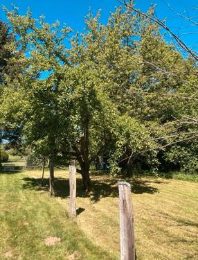 Foto - Grundst&uuml;ck zur Miete in Rabenau