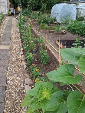 Foto - Grundst&uuml;ck zur Miete in Aschersleben