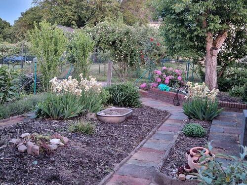 Foto - Grundst&uuml;ck in Mainhausen