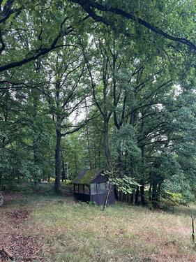 Foto - Grundst&uuml;ck zur Miete in Gutenstetten
