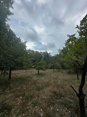 Foto - Grundst&uuml;ck in Gutenstetten zur Miete