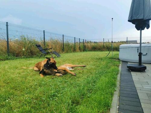 Foto - andere in Gütersloh zur Miete