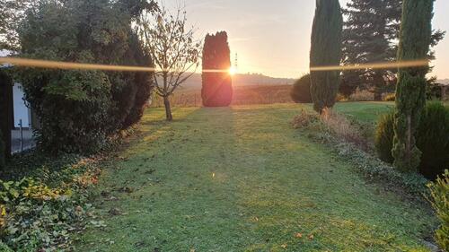 Foto - Grundst&uuml;ck in Reinheim