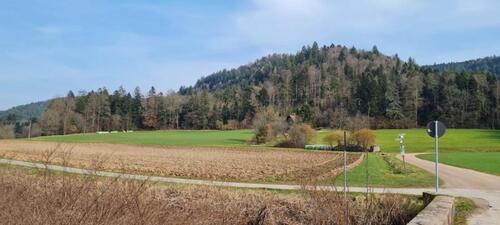 Foto - Etagenwohnung zum Kaufen in Zell am Harmersbach