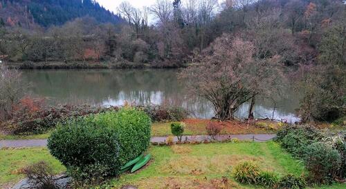 Foto - 2 Zimmer Wohnung in Neckargemünd