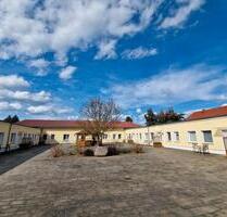 2 Zimmer Wohnung ab 01.07.2026 in Schönewalde verfügbar - Herzberg (Elster)