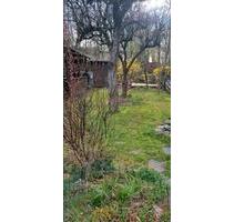 Garten zu verpachten, Hütte, kleiner Fischteich, Obstbäume, Strom - Neustadt an der Orla