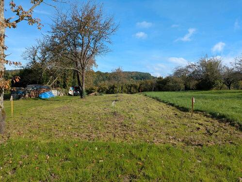 Foto - Gartenfläche ca.220 m^ ab 2026 - 2,00 EUR Kaltmiete, ca.  0,00 m²