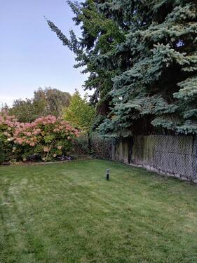 Foto - 4 Zimmer Einfamilienhaus zum Kaufen in Schönebeck (Elbe)