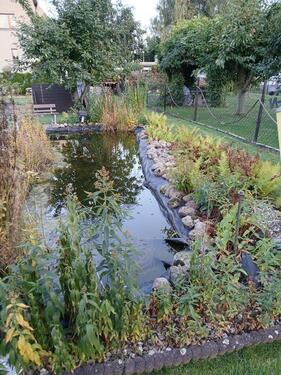 Foto - Einfamilienhaus in Schönebeck (Elbe) zum Kaufen